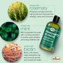 Difeel Rosemary and Mint Hair Strengthening Shampoo with Biotin 12 oz.