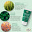 Difeel Rosemary and Mint Hair Shampoo with Biotin - Travel Size 2.5 Ounce