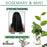 Difeel Rosemary and Mint Strengthening Hair Mask with Biotin Packet 1.75 oz.