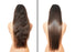 Hair Chemist Superior Growth Jamaican Black Castor Hair Oil 12 oz.