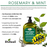 Difeel Rosemary and Mint Premium Hair Oil - Extra Large 33.8 oz.