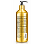 Hair Chemist 24k Gold Gloss Shampoo 16.9 Ounces