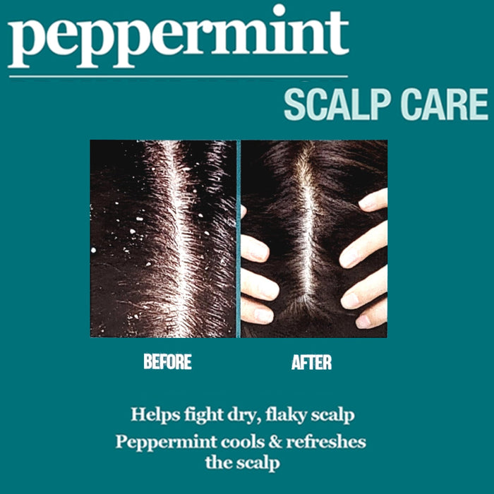Difeel Peppermint Scalp Care Shampoo 12 oz.