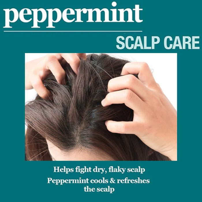 Difeel Peppermint Scalp Care Shampoo 12 oz.