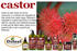 Difeel Castor Pro-Growth Hair Care Gift Set: Castor Shampoo 12 oz, Conditioner 12 oz., Hair Mask 12 oz. & Hair Oil 2.5 oz.