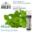 Arlo's 100% Natural Lip Balm - Mint