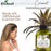 Difeel Essentials Hydrating Coconut - Hair Oil 2.5 oz.