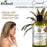 Difeel Essentials Hydrating Coconut - Shampoo 12 oz.