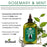 Difeel Rosemary and Mint Premium Hair Oil with Biotin - Large 12 oz.