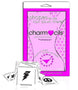 Betty Beauty Charmcils Hair Color Stencils